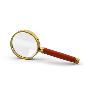 Loupe ROSEWOOD Gros. 3x