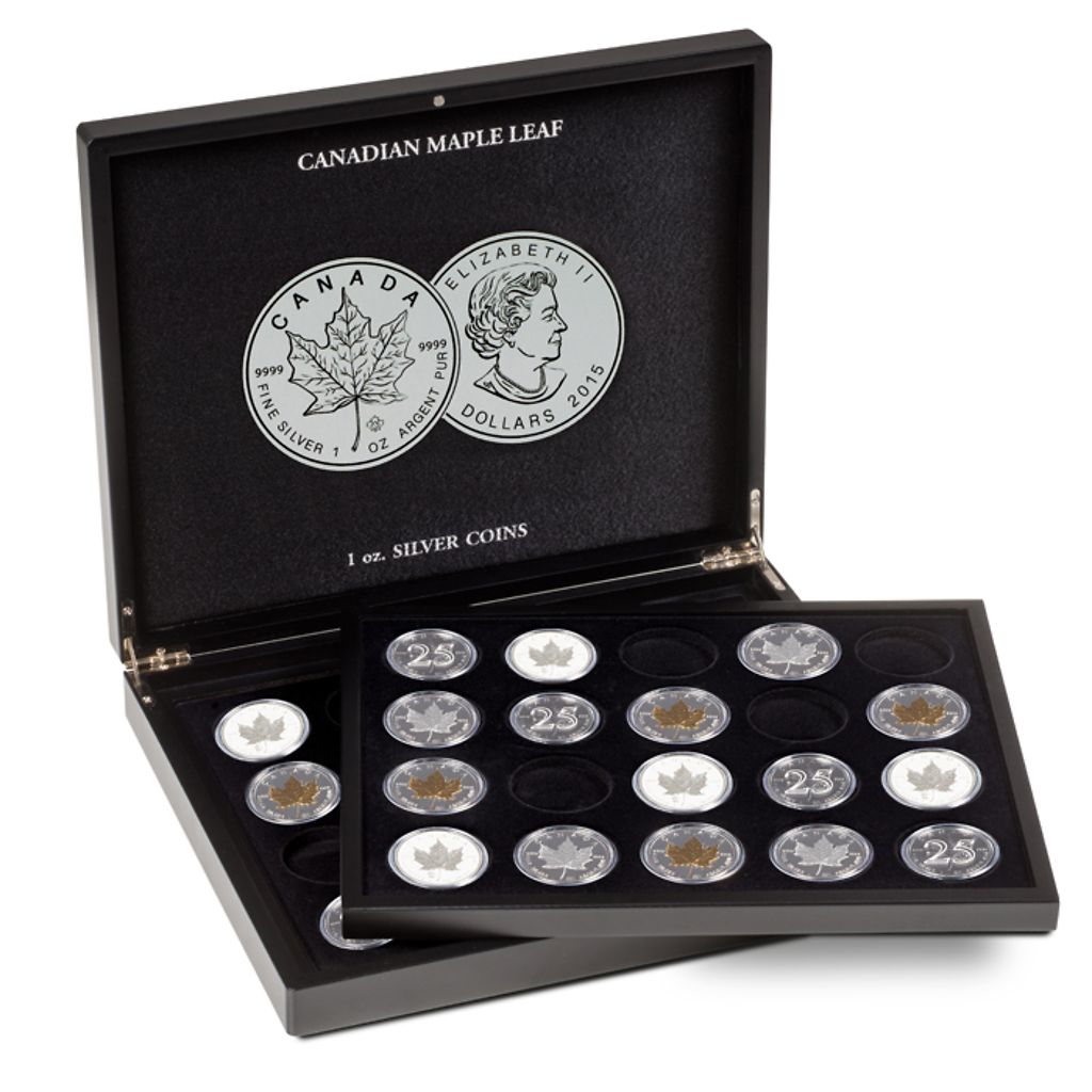 120 porte-pièces de monnaie collectant la collection Stockage