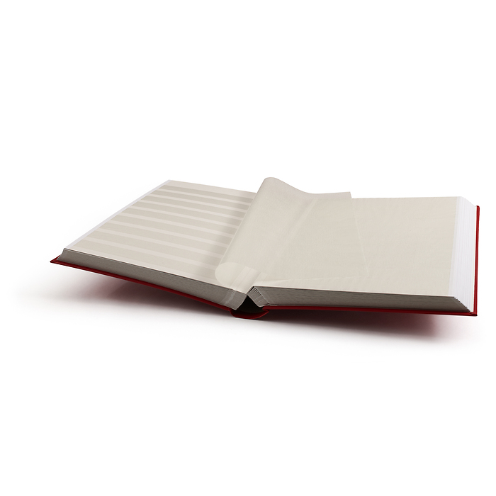 Classeur BASIC, DIN A4, 64 pages blanches, couverture non ouatinée, rouge