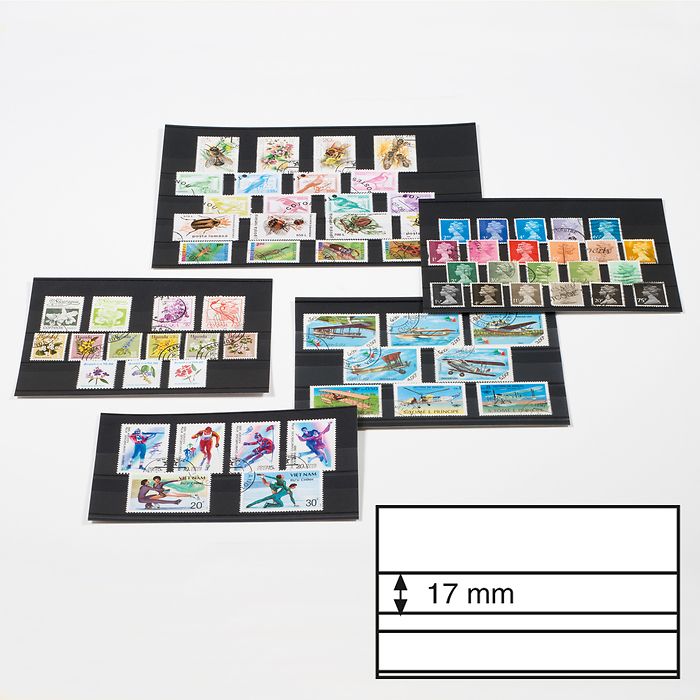 Cartes de clasement a 2 bandes (ACD/2SSPEC), 100 pieces