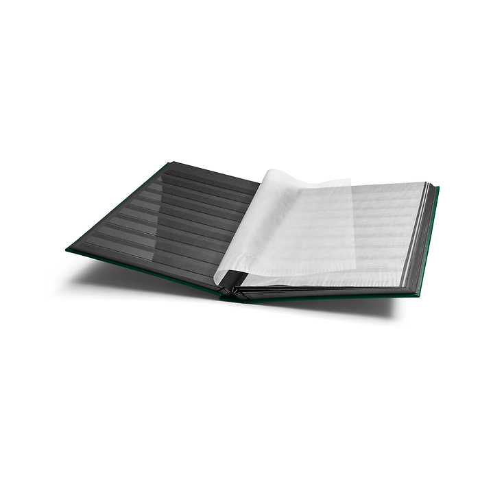 Classeur COMFORT, DIN A4, 32 pages noir, couverture ouatinée, vert