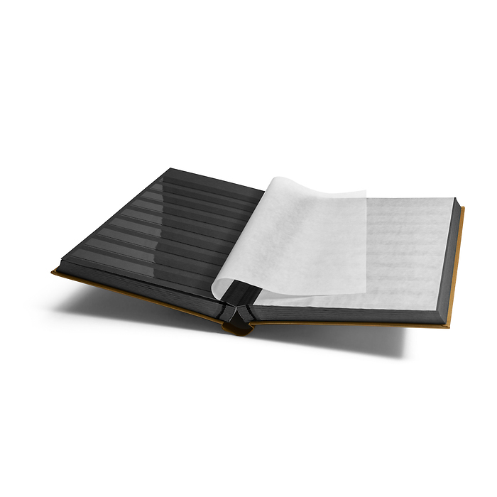 Classeur à bandes COMFORT, Din A4, 64 pages noires, couverture ouatinée, doré