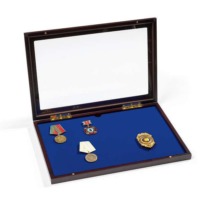 Vitrine MILITARIA avec couvercle en verre et fonction présentation verticale