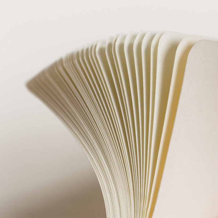 Carnet Master (A4+), couverture rigide, 233 pages numérotées