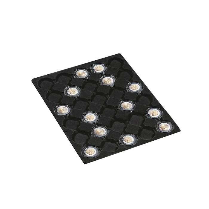 Médailliers pour pièces en capsules GRIPS